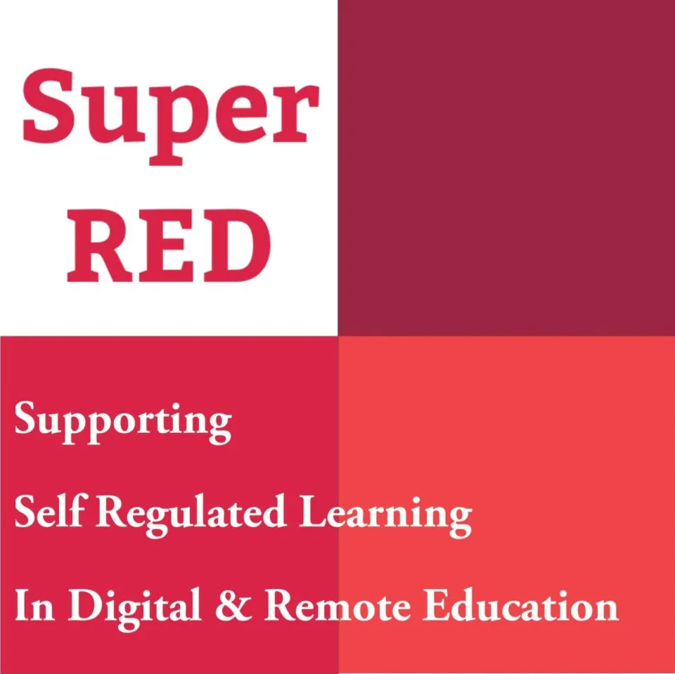 Screenshot of SuperRED Project